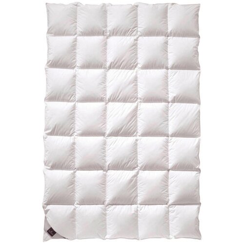 Billerbeck celoletna prešita odeja nena nena 135-140/200 cm Cene