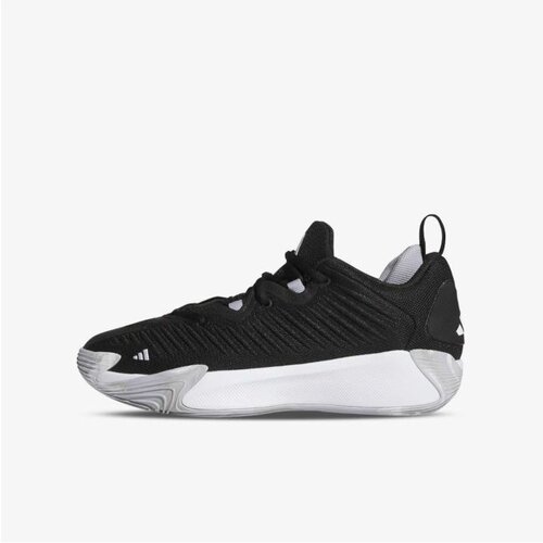 Adidas initiation Cene