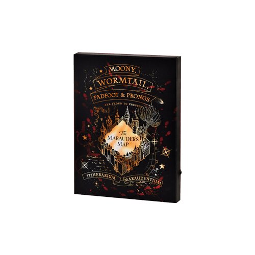 HARRY POTTER Svetlobno platno 30x40cm : Mapor Map, (21302214) Slike