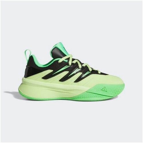 Adidas Patike dame certified 3 BG Cene
