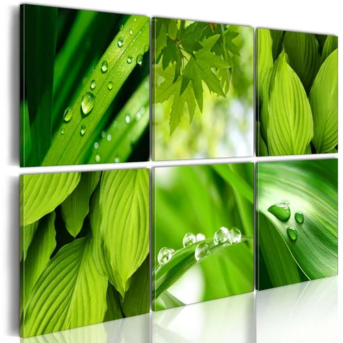  Slika - Fresh green leaves 120x80