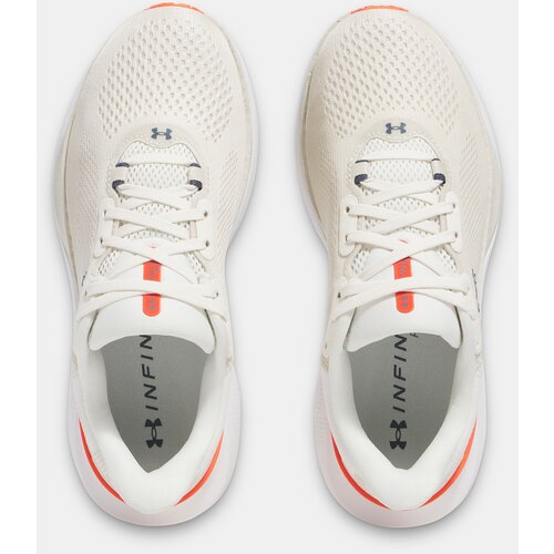 Under Armour Women's shoes UA W Infinite Pro 2 - Women's Cene