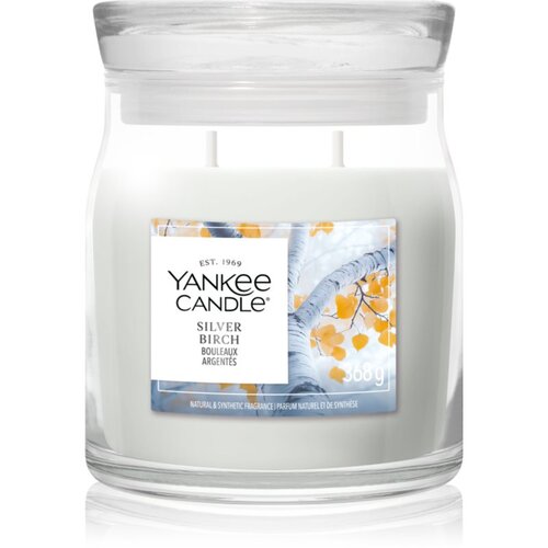 Yankee Candle Silver Birch dišeča sveča 368 g Cene