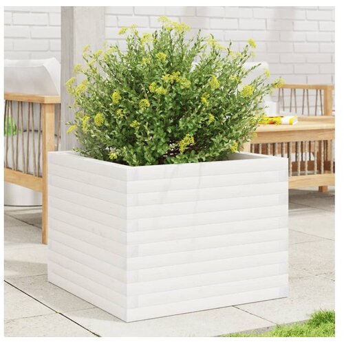 vidaXL Vrtna sadilica bijela 60x60x46 cm od masivne borovine Cijene