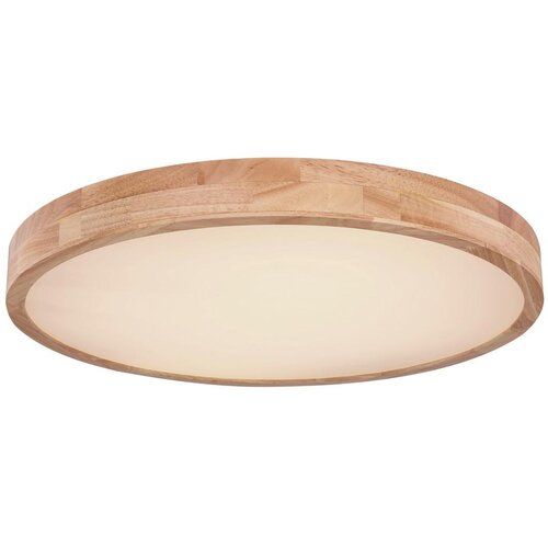 Globo Stropna Led-svetilka Rainer, S Sijalko Cene
