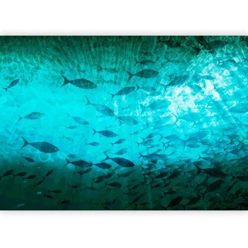  Foto tapeta - A shoal of dark fish 450x315 Standard Slike