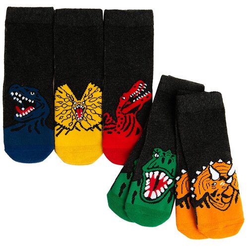 Cool club čarape 5 kom CHB2810818-00 M šareno 28/30 Cijene