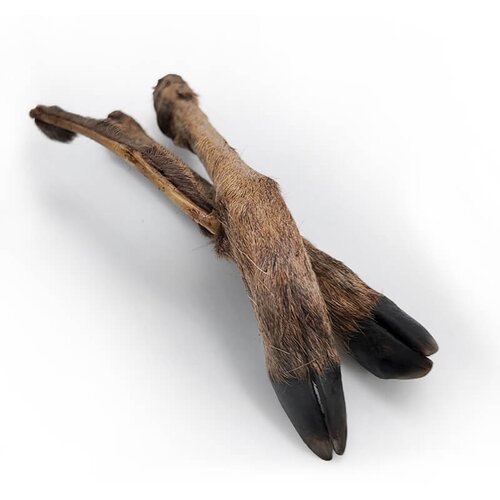 WolfPack srnine noge z dlako - 2 kos Slike