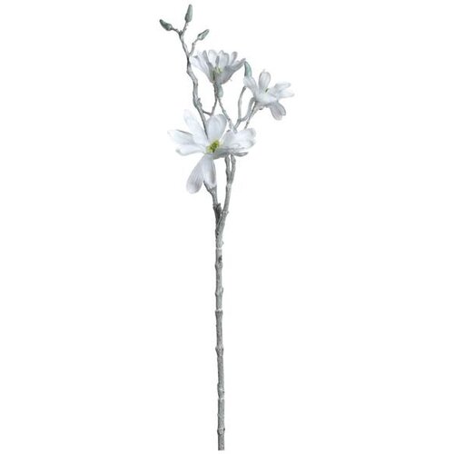  MAGNOLIJA 60CM BIJELA PALAZZO 041605 LEONARDO Slike