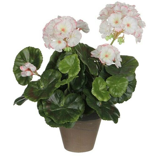  Umjetni cvijet Pelargonija (Visina: 34 cm, Boja cvijeta: Bijela) Cijene