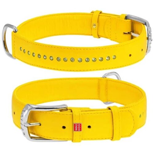 CLR WD Žuta A2202577-Ogrlica za pse 27&ndash;36 cm Cene