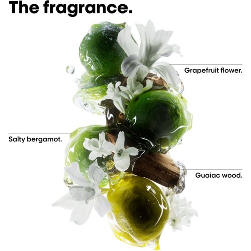 L&amp;acute;Or&amp;eacute;al Paris Serie Expert Metal Detox ugodno pakiranje za po&amp;scaron;kodovane lase Slike