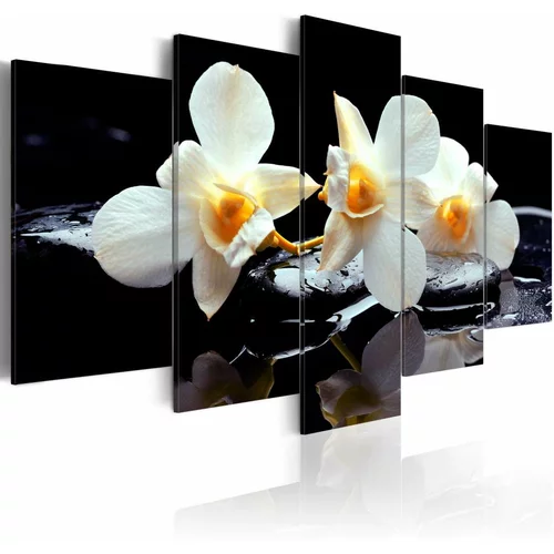  Slika - Orchids with orange accent 100x50