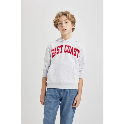 Defacto Boy's Hooded Printed Thick Sweatshirt