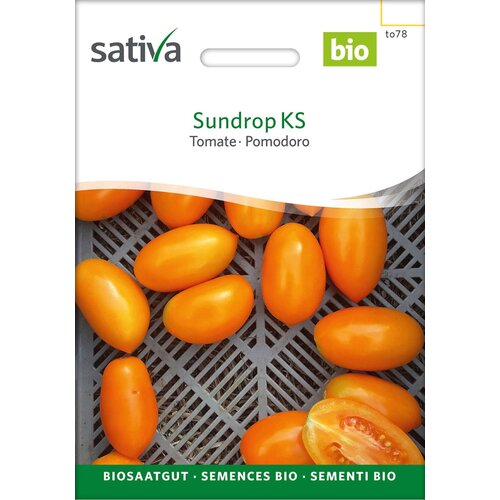 BIO paradižnik "Sundrop KS" - 1 pkt. Cene