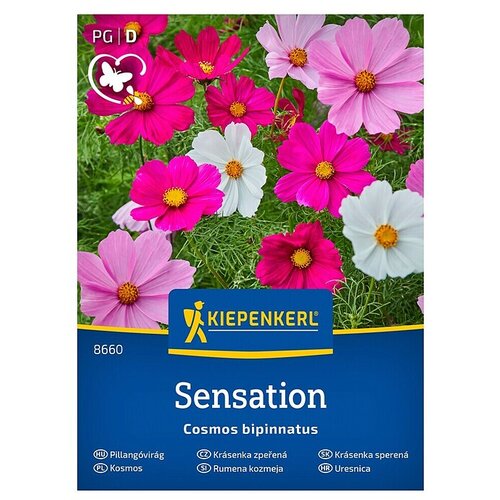 KIEPENKERL Cvetlična semena Pernatolistna kozmeja Sensation (Cosmos bipinnatus, Večbarvna) Cene