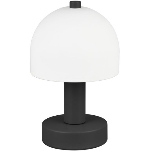  Črna/bela namizna svetilka s steklenim senčilom (višina 19 cm) Glenn – Cene
