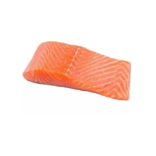  Losos filet 1kg Cene