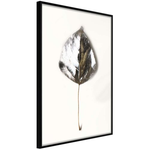  Poster - Silvery Leaf 20x30 Slike