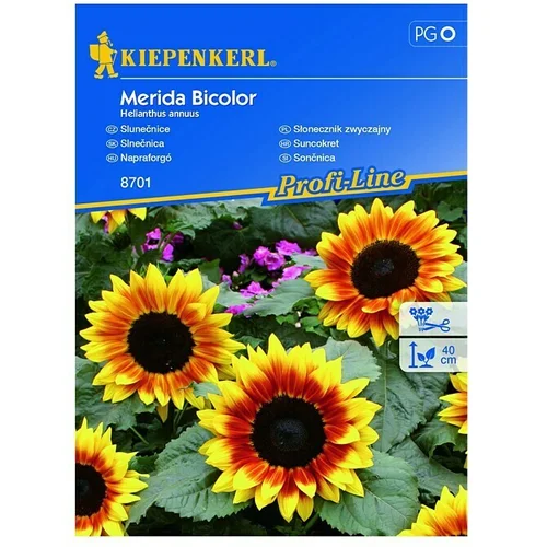 KIEPENKERL Profi-Line Sjeme cvijeća Suncokret Merida Bicolor (Helianthus annuus, Žuta, Crvena)