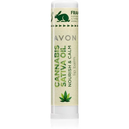 Avon Cannabis Sativa Oil Nourish & Calm balzam za usne s uljem kanabisa 4,5 g