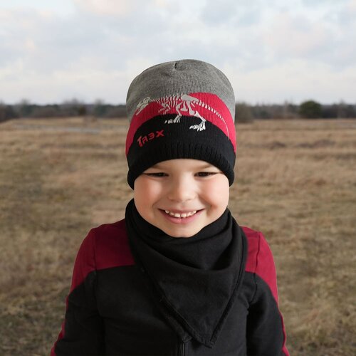 AGBO Boy's spring/ autumn hat grey Syriusz Cijene