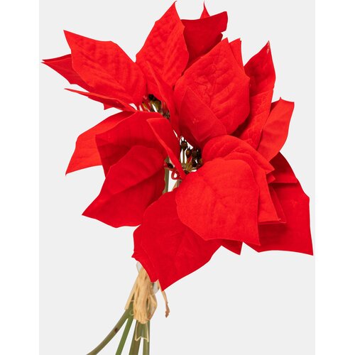Sinsay DECORATIVE PLANT Slike