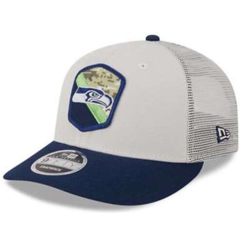 New Era Kape s &amp;scaron;iltom 60423913 Siva Slike