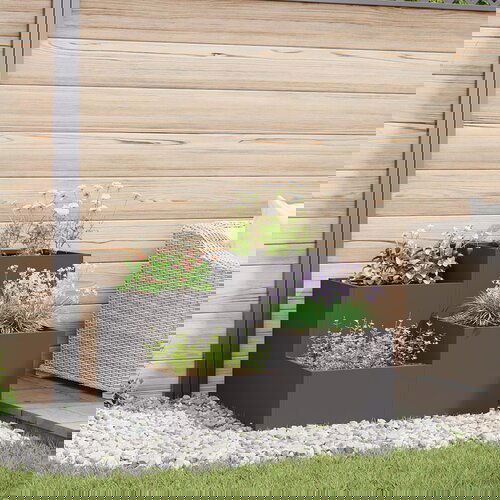 VidaXL Vrtni sadilnik Črn Kovina 100 x 100 x 60 cm Sadilniki Sadilnik Slike