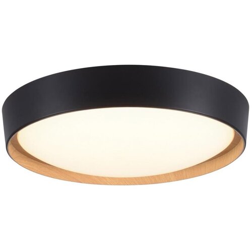 PAUL NEUHAUS Leuchten Direkt 1434718-LED Prigu&scaron;iva plafonska svetiljka EMILIA 28,8W/230V crna Cene