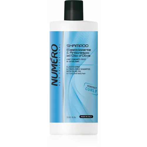 Brelil Numéro Elasticizing & Frizz-Free Shampoo šampon za kovrčavu kosu 1000 ml