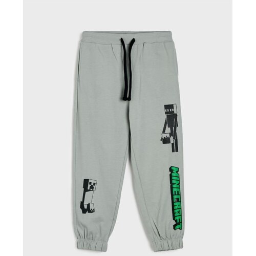Sinsay Oversize jogger trenirke Minecraft Slike