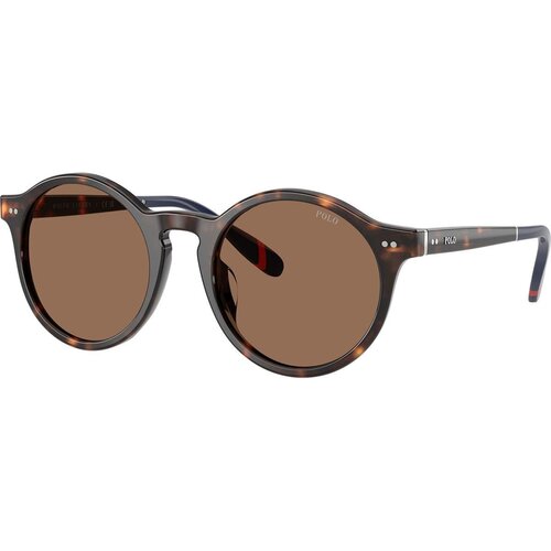 Polo Ralph Lauren PH4204U 567373 M (50) Havana/Rjava Slike