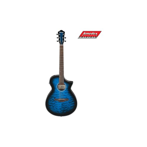 GITARA EL.-AK. IBANEZ AEWC16QA TLH Cijene