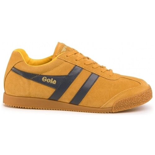 Gola HARRIER SUEDE žuta Slike