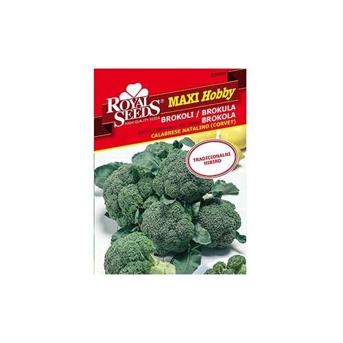 Brokula Corvet Maxi Royal Seeds Cijene