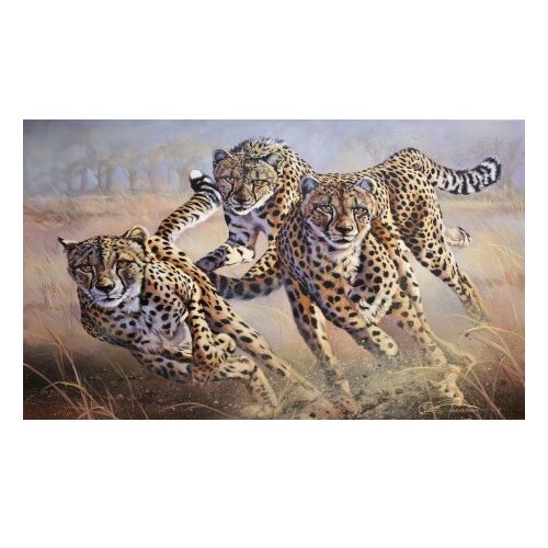  CT-5287 multicolor bathmat set (2 pieces) Cene