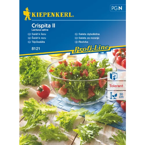 KIEPENKERL Sjeme salate Crispita II (Lactuca sativa)
