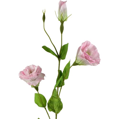 Mondex umetna cvetlica gumirana Viridis Eustoma 70cm zelena 1kos, (5000301160) Slike