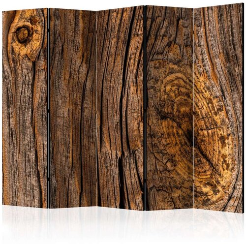  Paravan u 5 dijelova - Old Tree II [Room Dividers] 225x172 Cijene