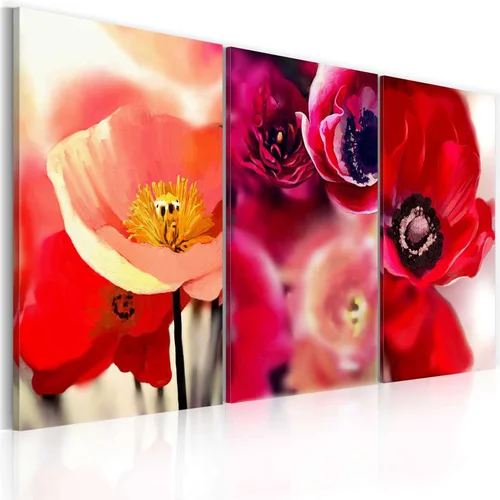  Slika - Poppies - three perspectives 90x60