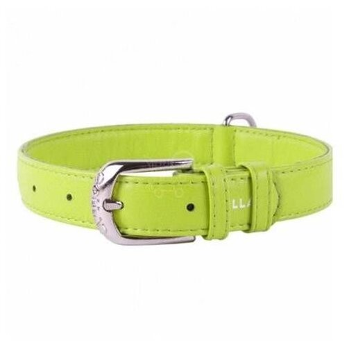 CLR WD 39 cm -Ogrlica za pse 30 Cene