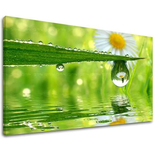  Slike na platnu cveće  (moderne slike na platnu) Cene