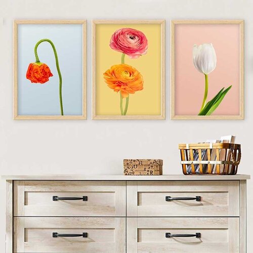 Wallity Set uramljenih slika 3NTC_41955467, 3 Dela Cene