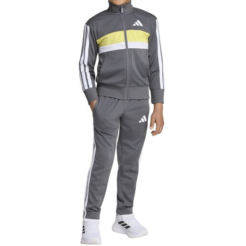 Adidas Komplet trenerka za dečake Essentials, Sivi Slike