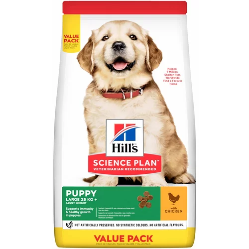 Hill’s Science Plan suha hrana + 6 x 370 g mokre hrane gratis! - 14,5 kg Puppy Large piletina + 6 x Puppy piletina