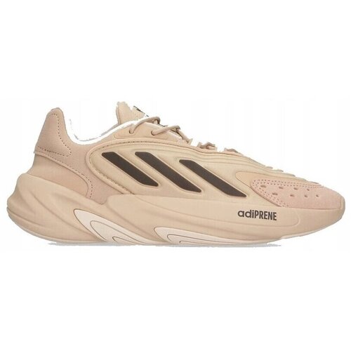 Adidas Nizke superge GX4029 Kostanjeva Cene