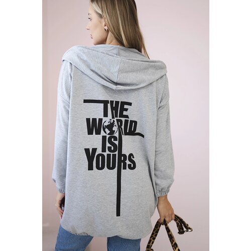 Kesi Sweatshirt with "The World is Yours" print gray Cene