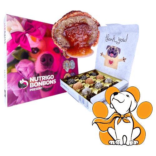 LK Baits Nutrigo BonBons Present Small Dogs 90g, Premium Bombone Za Male Pse Cene