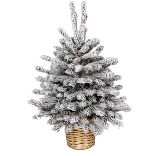  Novogodisnja jelka u saksiji bela 90cm 250309 Slike